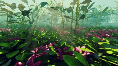 Swamp With Growing Lilies