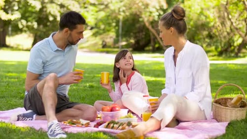 Happy Family Drinking Juice on Picnic at Park