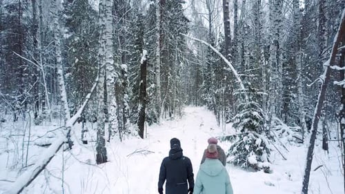 People Walk Along Park Covered with Snow in Frosty Winter