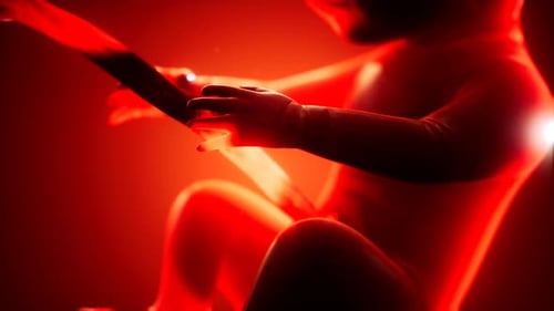 Medizinische 3D-Animation eines menschlichen Fötus