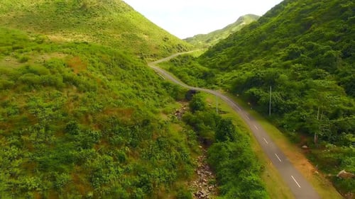 Road passing through lush mountain