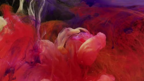 Mit Tinte verhüllte Rose