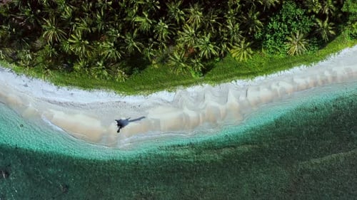 CS - Beautiful Beach 01