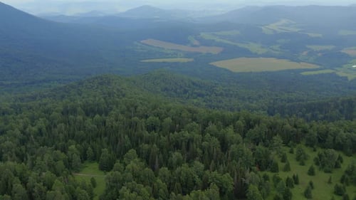 Green forest and valley on mountains of Manzherok under blue sky