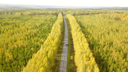 Truck On The Autumn Nature Road