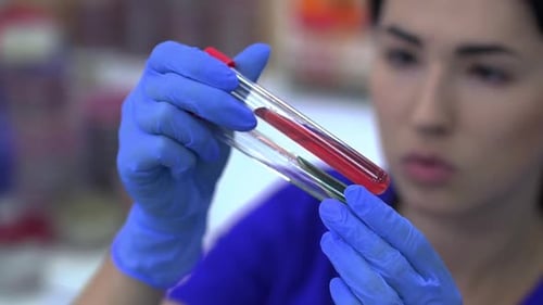 Young Adult Examining Test Tubes in Laboratory