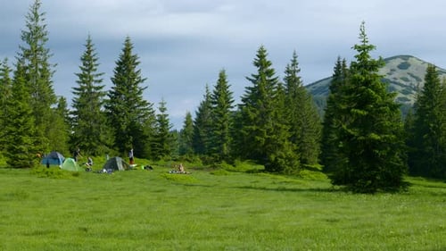 Camping in einer wunderschönen Waldlichtung in den Bergen
