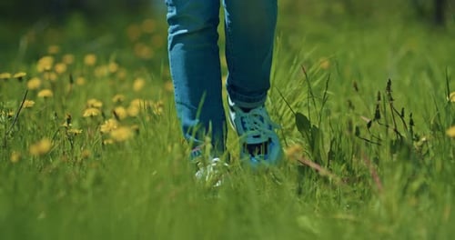 Walk in Beautiful Meadow in Summer or Spring Day Closeup View of Female Legs on Grass Prores