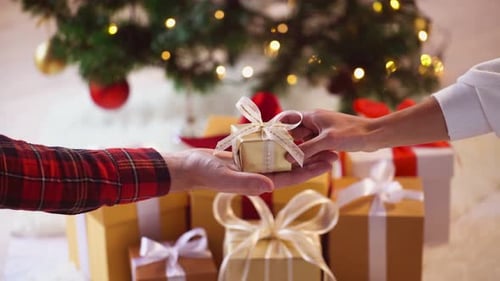 Exchanging Christmas Gift with Holiday Decorations