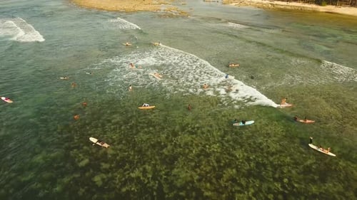 Surfistas en la superficie del agua