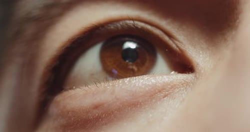 Extreme Close-up of a Brown Human Eye