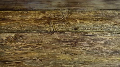 Close Up of Brown Wooden Grain Texture