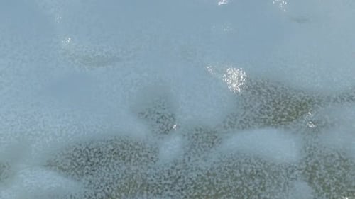 Wave Background