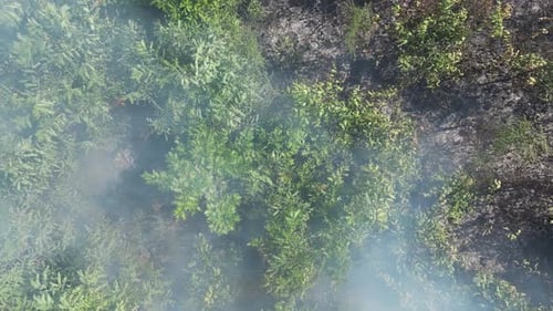 Feu de brousse vu du ciel