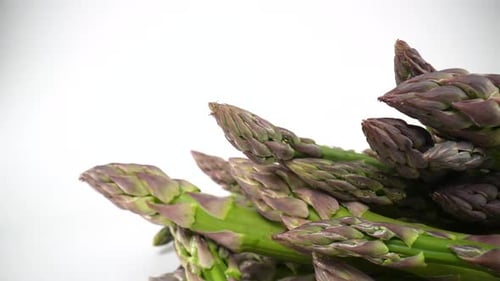 Spargel 06