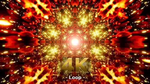 Glowing Intricate Geometric Flower VJ Tunnel Loop