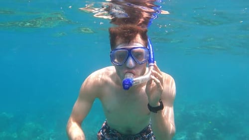 Snorkeling