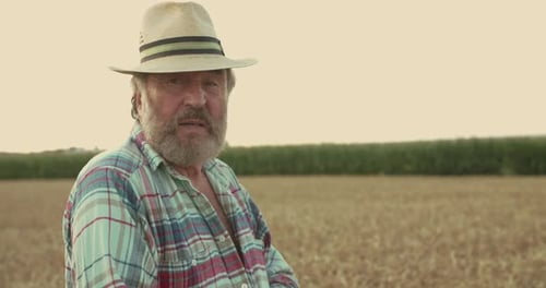 Senior Farmer in Hat Looks Around and Scratches His Head in Wheat Field