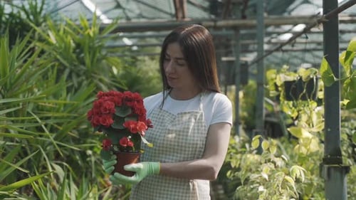 Woman Holding Potted Plant in Greenhouse