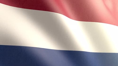 Realistic Waving Flag Seamless Loop