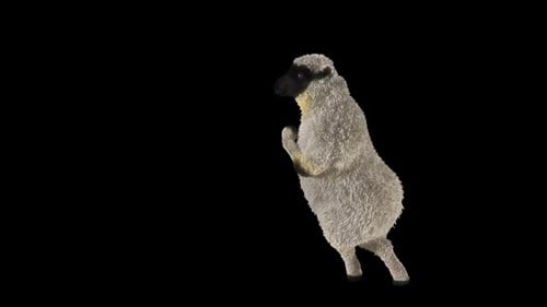 Funny 3D Animated Sheep Dancing Loop on Black Background