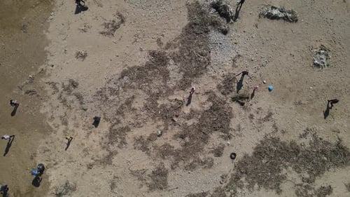 Volunteers Cleaning Beach