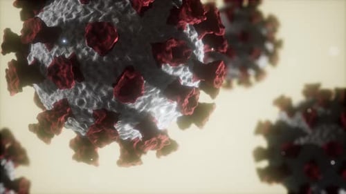 Coronavirus COVID19 Medical Model