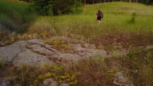Homem viajante com mochila. Vista traseira do homem com mochila caminhando na natureza