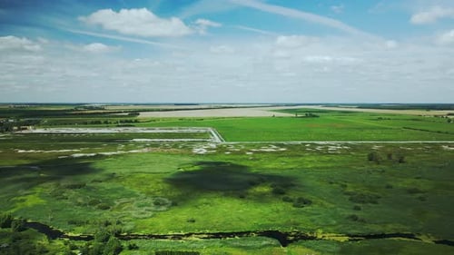 Rural landscape. Green forests and fields. River flows. Aerial photography.