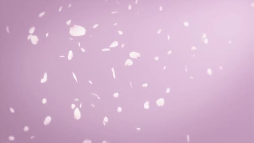 Cherry Blossom Pink