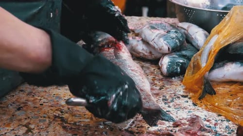 Scaling and Cutting Fish in Market Stall. Woman Manual Cleaning and Cuts Fresh Fish