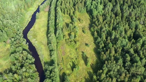 Aerial View From Drone on Summer Forest, Field and River