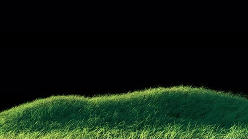 Blows Grass Loop 4K