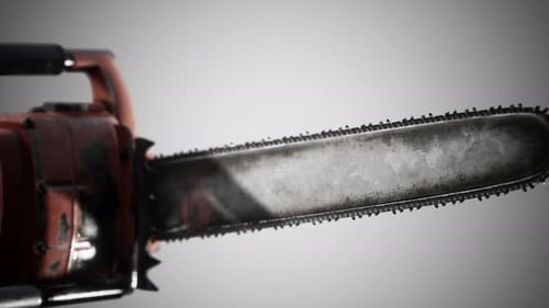 Small Professional Chain Saw