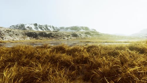 Prairies sur les montagnes en automne