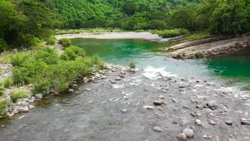 Mountain River and Bright Greenery of the Rainforest