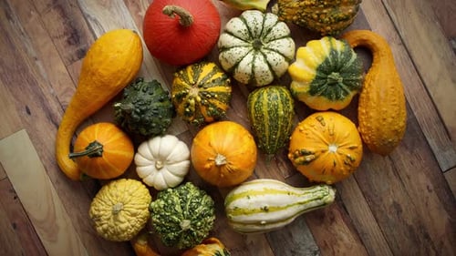 Overhead Shot of Colorful Gourds on Wood Table