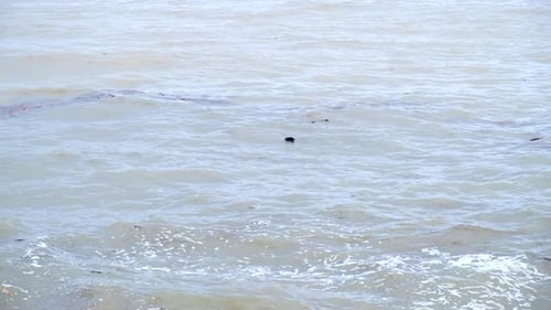 Plastic pollution in the sea water. Ecological problem. Environmental hazard. Dirty waste pollution,