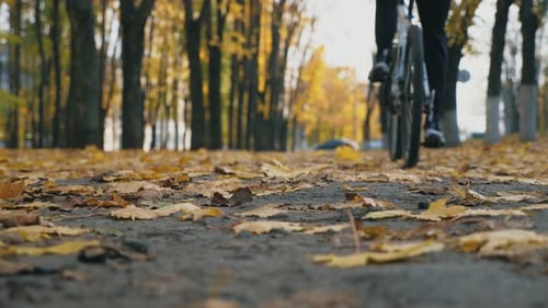 Unrecognizable Young Man Riding Bicycle Through City Park Among Colorful Trees