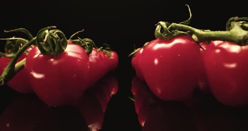 Red tomatoes super mega macro close up