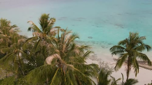 Incredible view of a beautiful Maldivian island with green trees, white sand and turquoise water