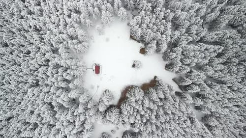 Aerial Top Down Shot of Mountain Hut in the Middle of a Forest