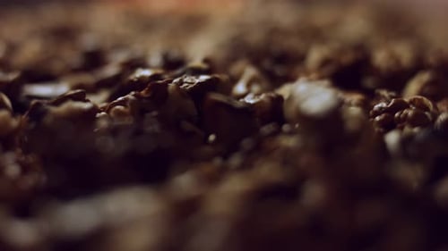 Walnut Macro