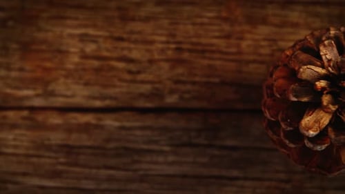 Pine cones on wooden plank