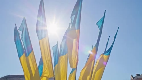 Ukrainian Flags Waving in the Breeze on Sunny Day