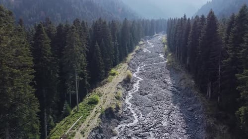 Mountain Forest and river aerial view