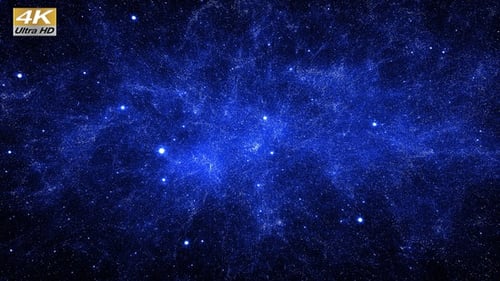 Space Fly 4K