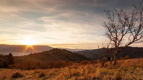 Time Lapse of Sun Setting Behind the Mountain and Pine Trees on a Background