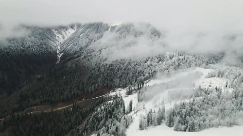 View of a Beautiful Landscape with a Green Coniferous Forest in the Mountains