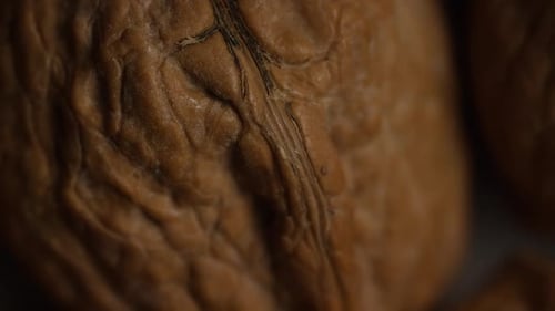 Cinematic, rotating shot of walnuts in their shells on a white surface